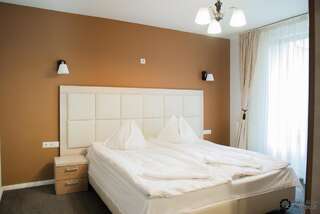 Гостевой дом Pensiunea Schwartz Клуж-Напока Улучшенный двухместный номер с 1 кроватью или 2 отдельными кроватями-2